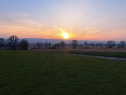 fliegen0903 10